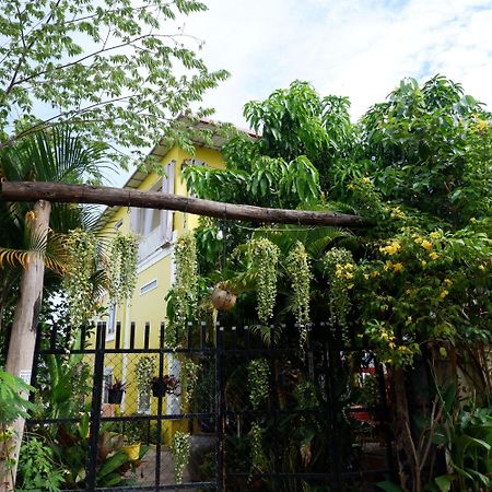 סיאם ריפ Homestay Yellow Natural House מראה חיצוני תמונה