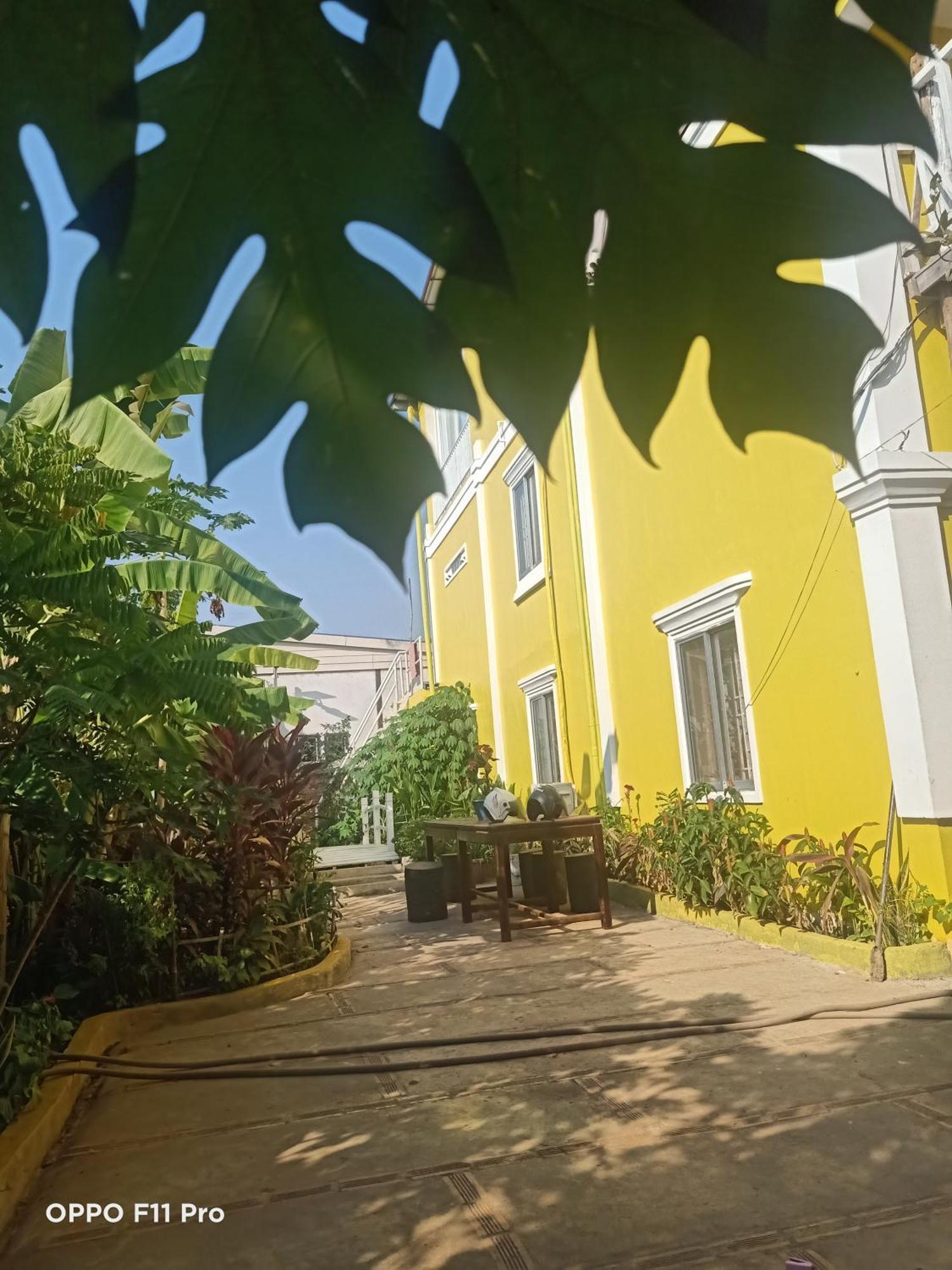סיאם ריפ Homestay Yellow Natural House מראה חיצוני תמונה