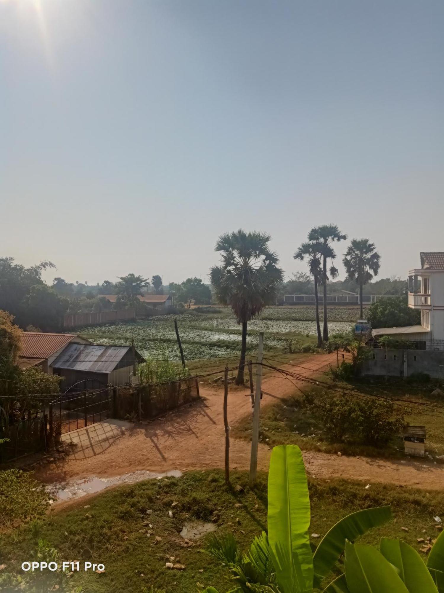 סיאם ריפ Homestay Yellow Natural House מראה חיצוני תמונה