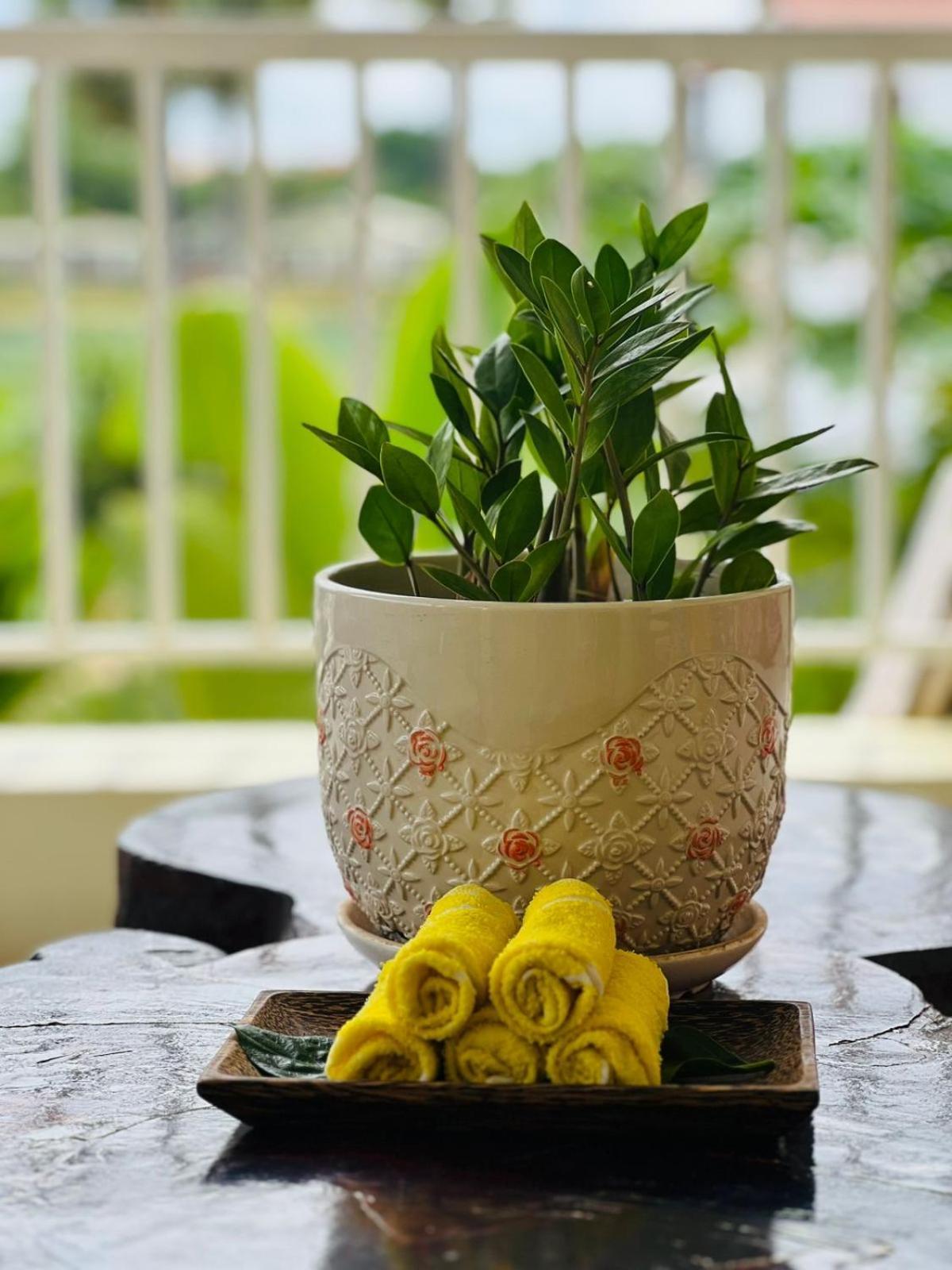 סיאם ריפ Homestay Yellow Natural House מראה חיצוני תמונה